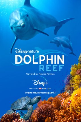 Dolphin Reef izle (2018)