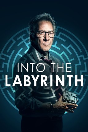 Into the Labyrinth izle (2019)