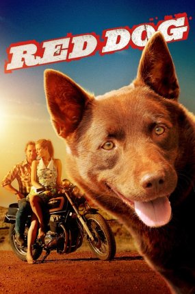 Kırmızı Köpek izle (2011)