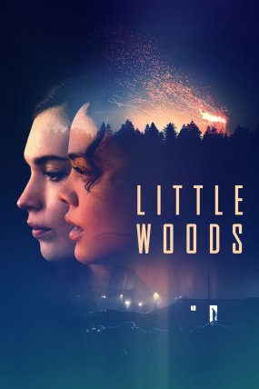 Little Woods izle (2019)