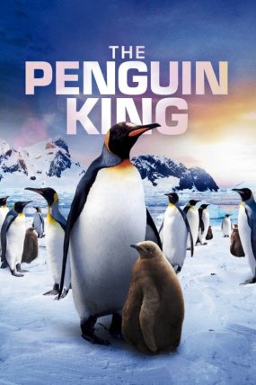 Penguen Kral izle (2012)