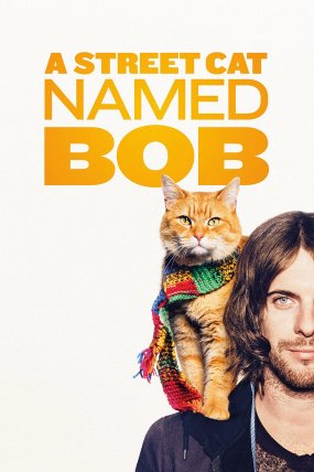 Sokak Kedisi Bob izle (2016)