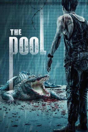 The Pool izle (2018)