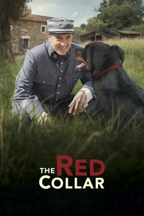 The Red Collar izle (2018)