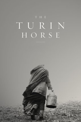 Torino Atı izle (2011)