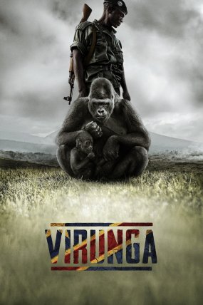 Virunga izle (2014)