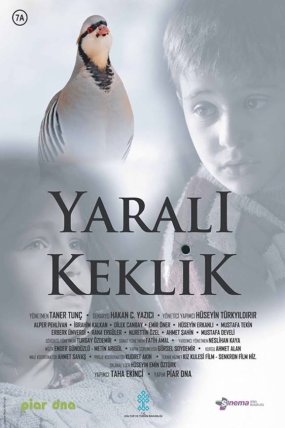 Yaralı Keklik izle (2019)