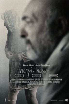 Nergis Hanım izle (2014)